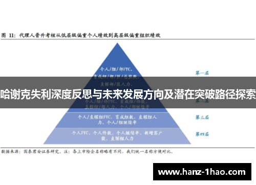 哈谢克失利深度反思与未来发展方向及潜在突破路径探索