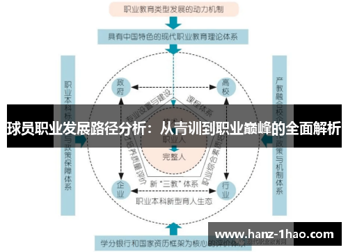 球员职业发展路径分析：从青训到职业巅峰的全面解析