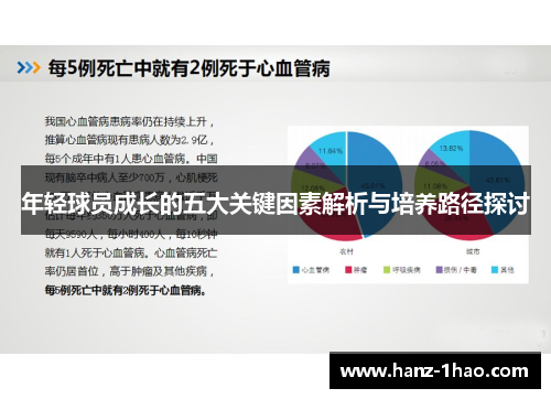 年轻球员成长的五大关键因素解析与培养路径探讨