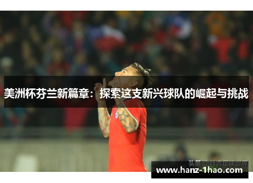 美洲杯芬兰新篇章：探索这支新兴球队的崛起与挑战