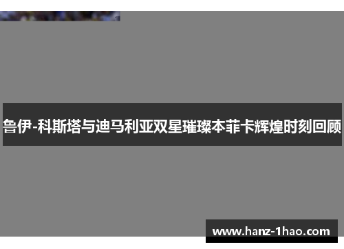 鲁伊-科斯塔与迪马利亚双星璀璨本菲卡辉煌时刻回顾